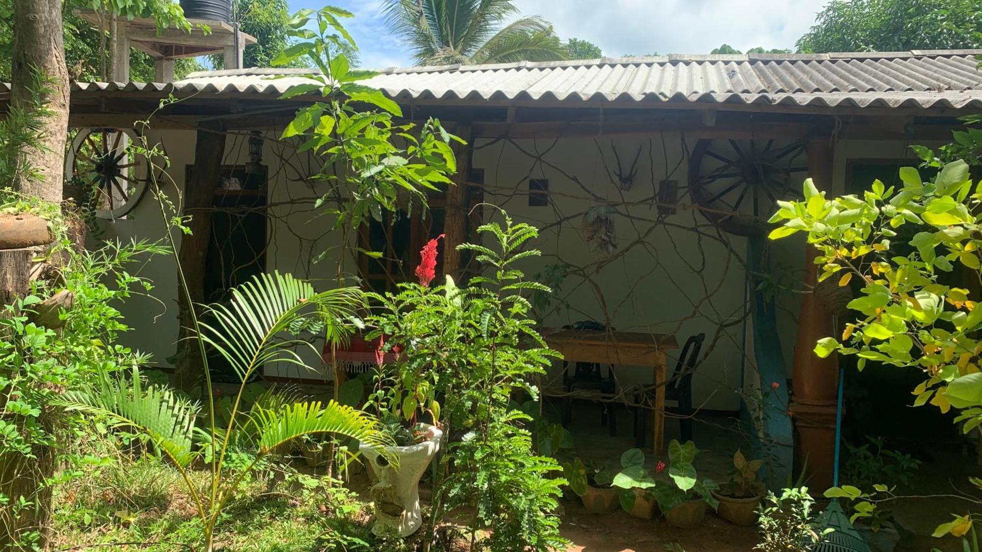 Sigiri Birds Hostel Sigiriya Exterior photo
